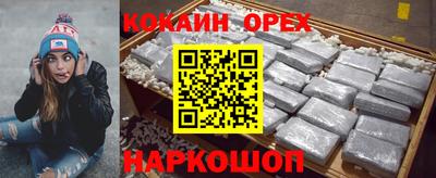 гашик Котовск