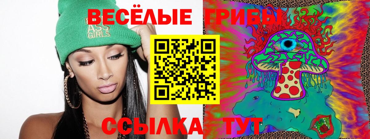 Псилоцибиновые грибы Psilocybine cubensis Аша